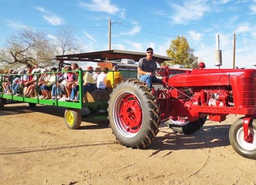 farm tour wagon