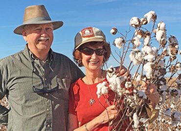 cotton picked during tour