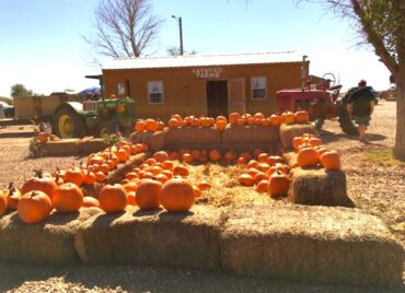 pumpkins on hay bales