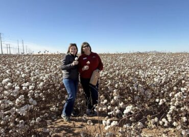 two women in cotton field