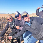 tour group picking cotton