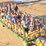 hay ride